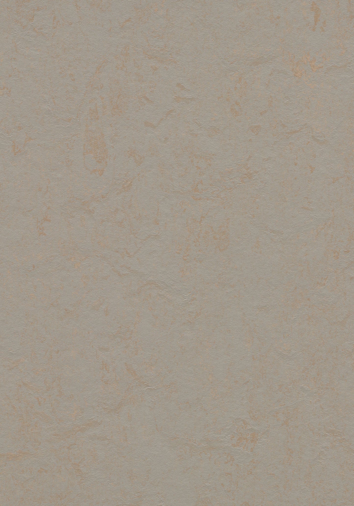 Beton Linoleum Sheet Marmoleum Solid
