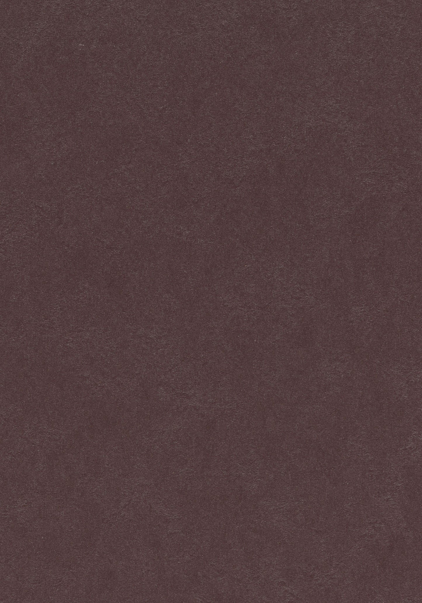 Eggplant Purple Linoleum Sheet Marmoleum Solid