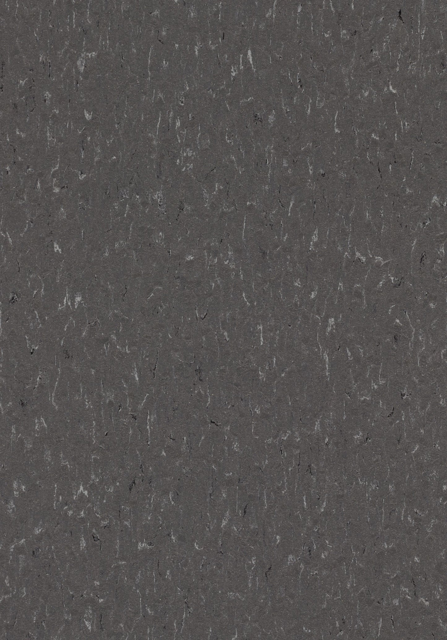 Grey Dusk Linoleum Sheet Marmoleum Solid
