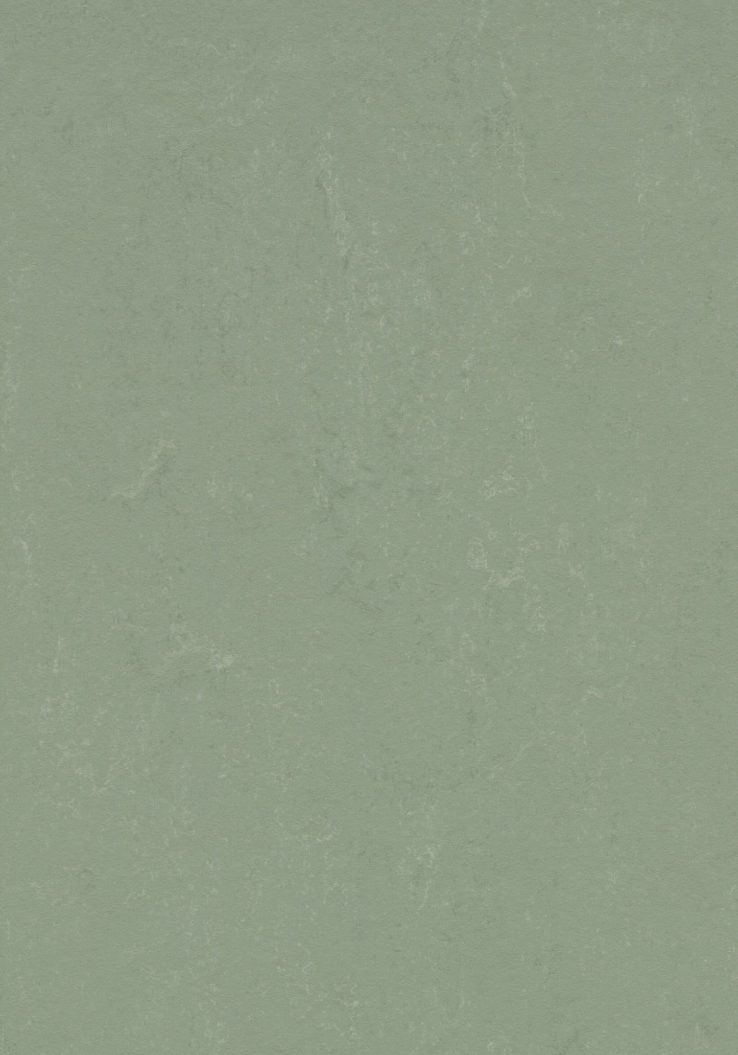 Pine Forest Linoleum Sheet Marmoleum Solid