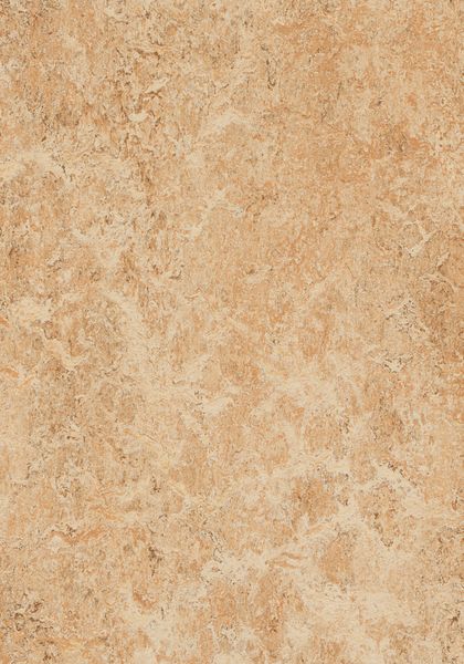 Shell - Linoleum Sheet - Mcs