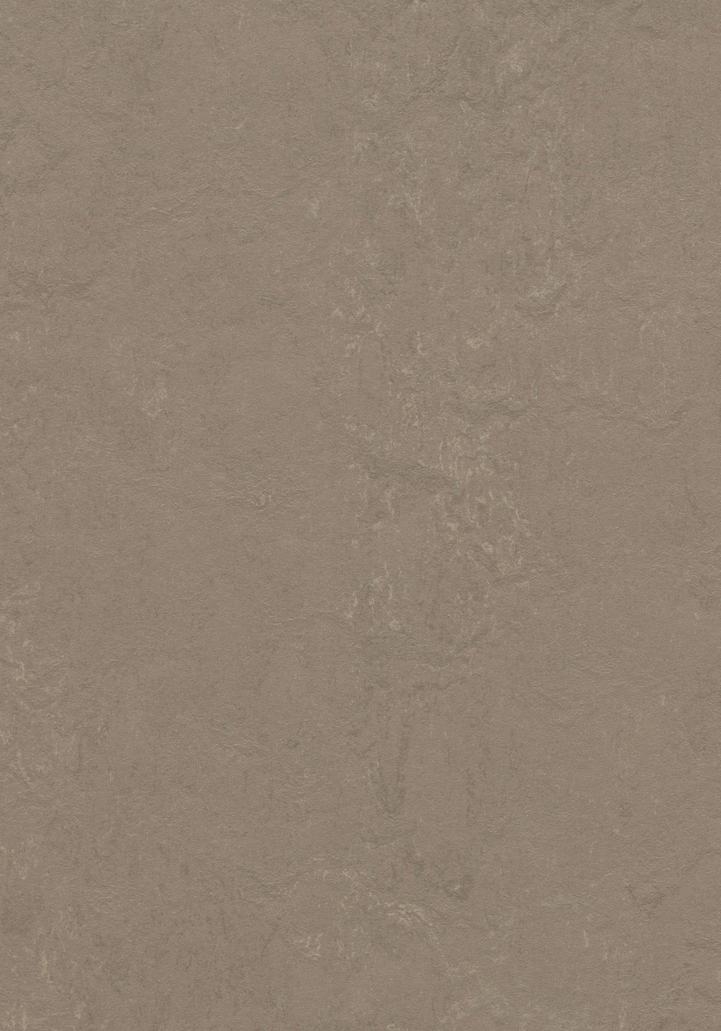 Silt Stone Linoleum Sheet Marmoleum Solid