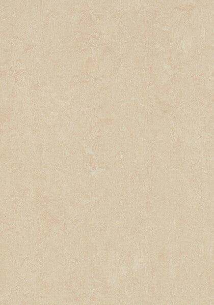 Arabian Pearl Linoleum Sheet Mcs