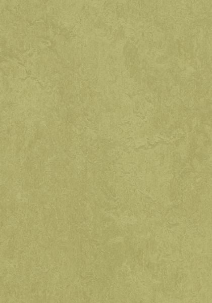 Avocado Linoleum Sheet Marmoleum Marbled
