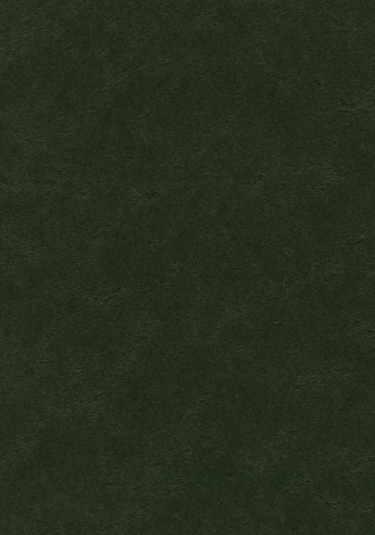 Bottle Green Linoleum Sheet Marmoleum Solid