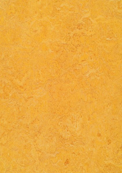 Dandelion Linoleum Sheet Marmoleum Marbled