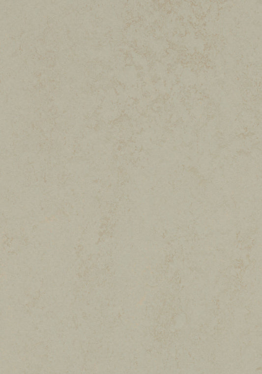 Dust Linoleum Sheet Marmoleum Solid