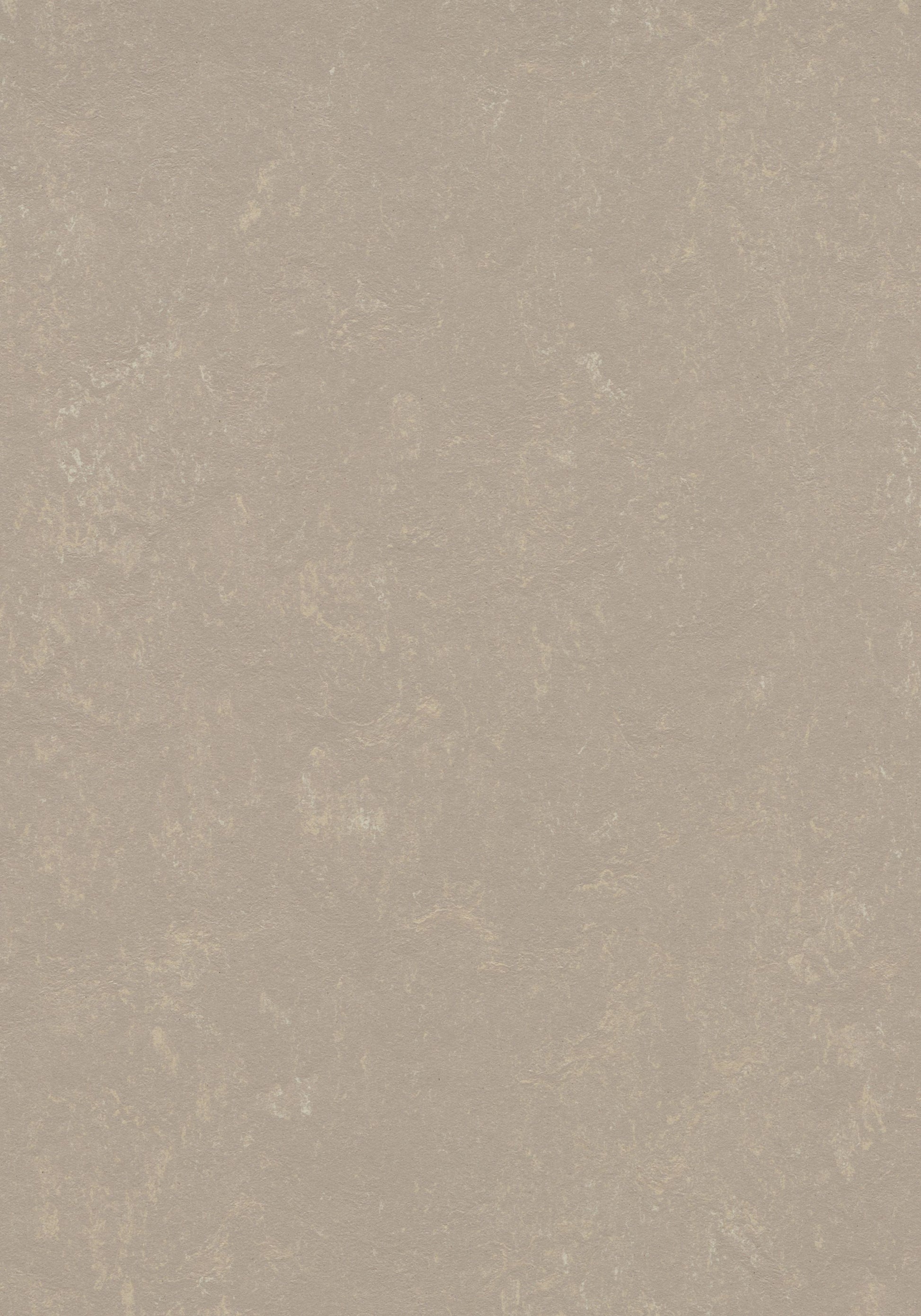 Fossil Linoleum Sheet Marmoleum Solid