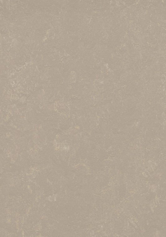 Fossil Linoleum Sheet Marmoleum Solid