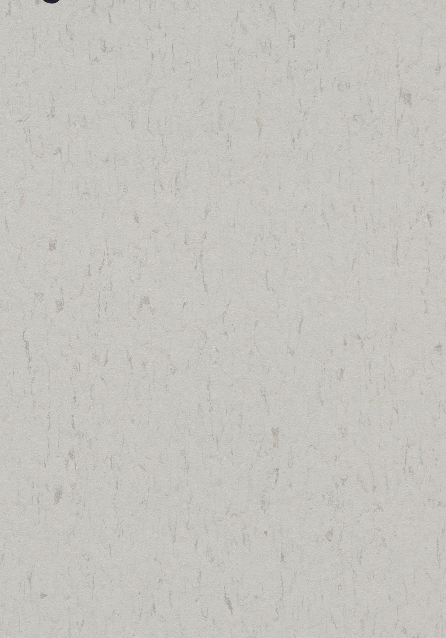 Frosty Grey Linoleum Sheet Marmoleum Solid