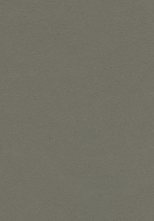 Grey Adobe Linoleum Sheet Marmoleum Solid