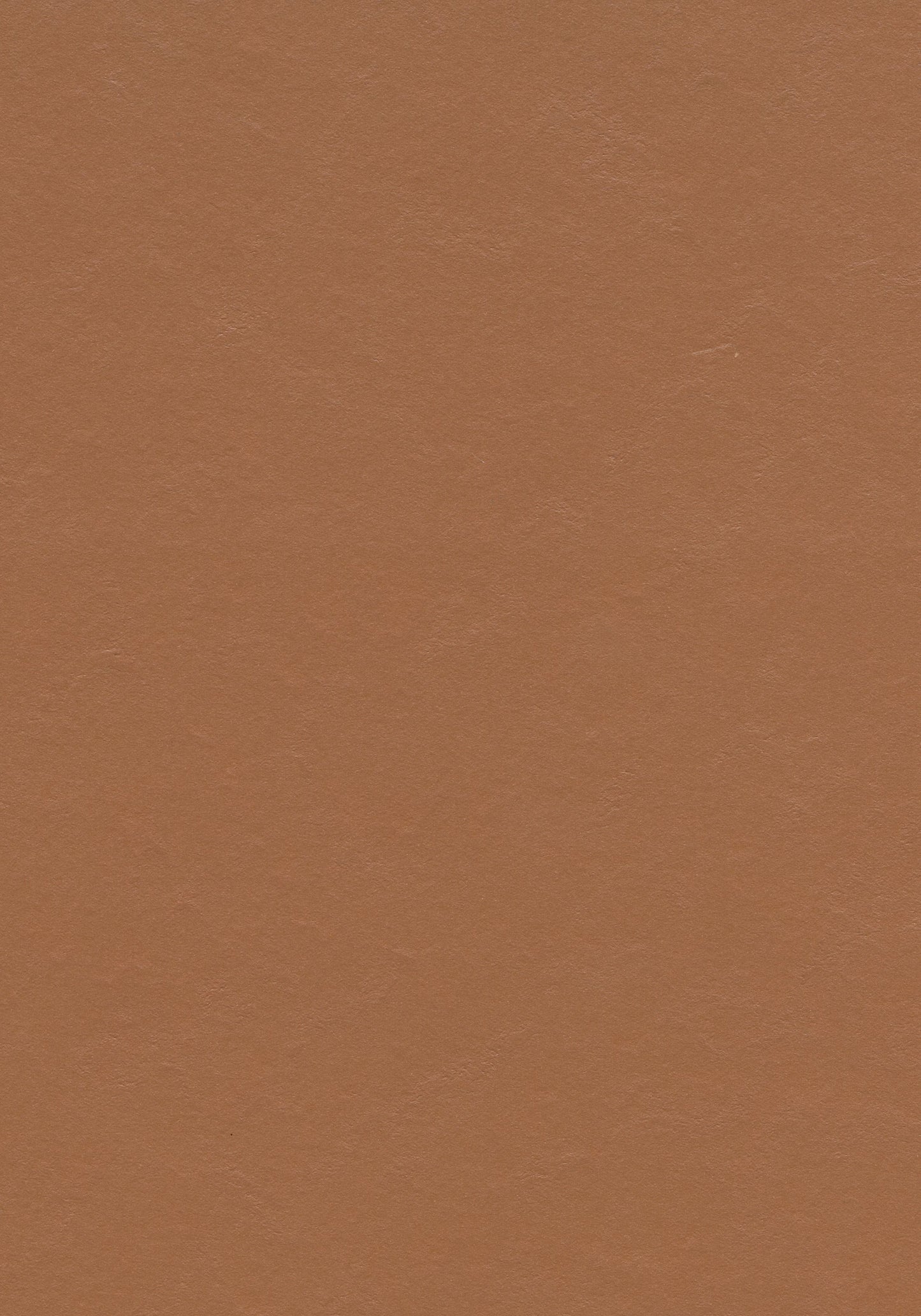 Terracotta - Linoleum Sheet - Marmoleum Solid