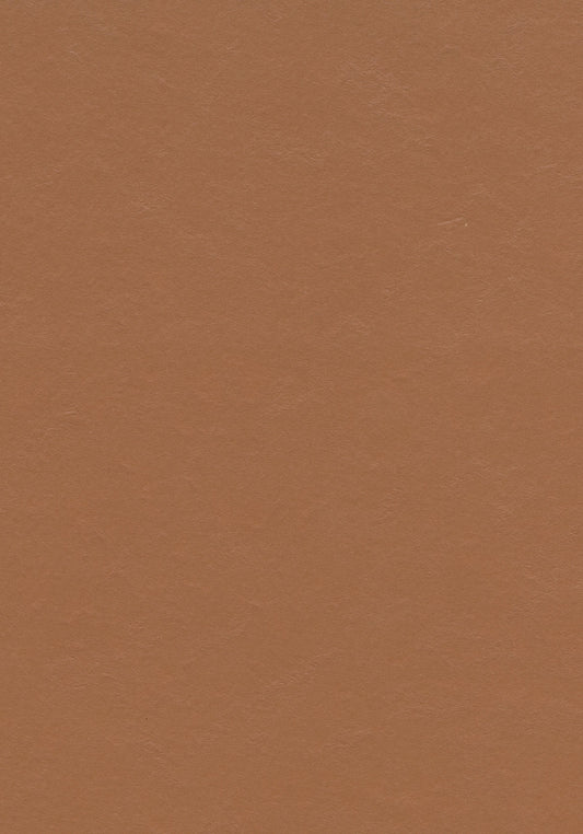 Terracotta - Linoleum Sheet - Marmoleum Solid