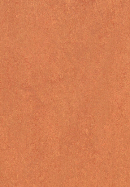 Natural Corn Linoleum Sheet Marmoleum Marbled