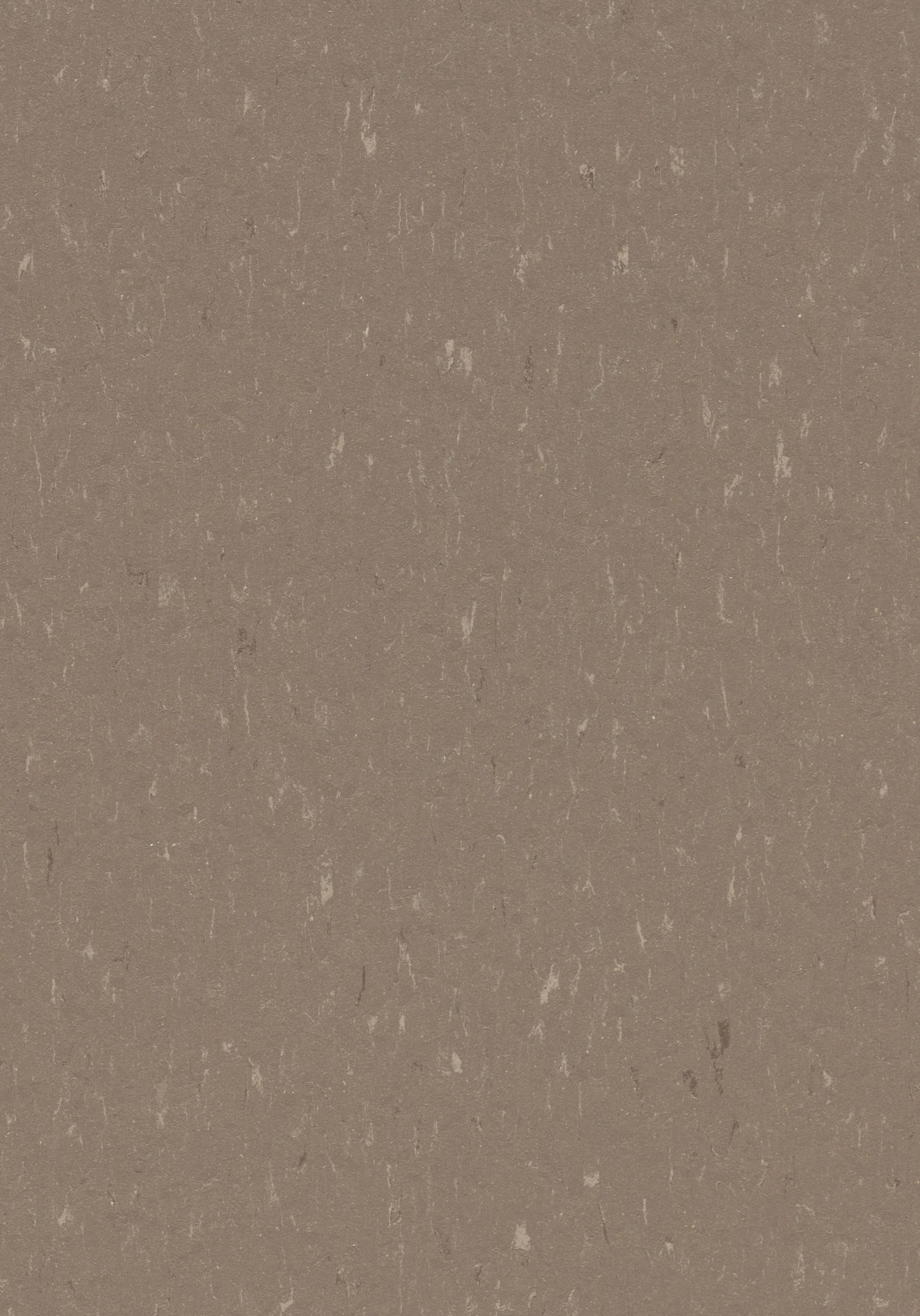 Otter Linoleum Sheet Marmoleum Solid