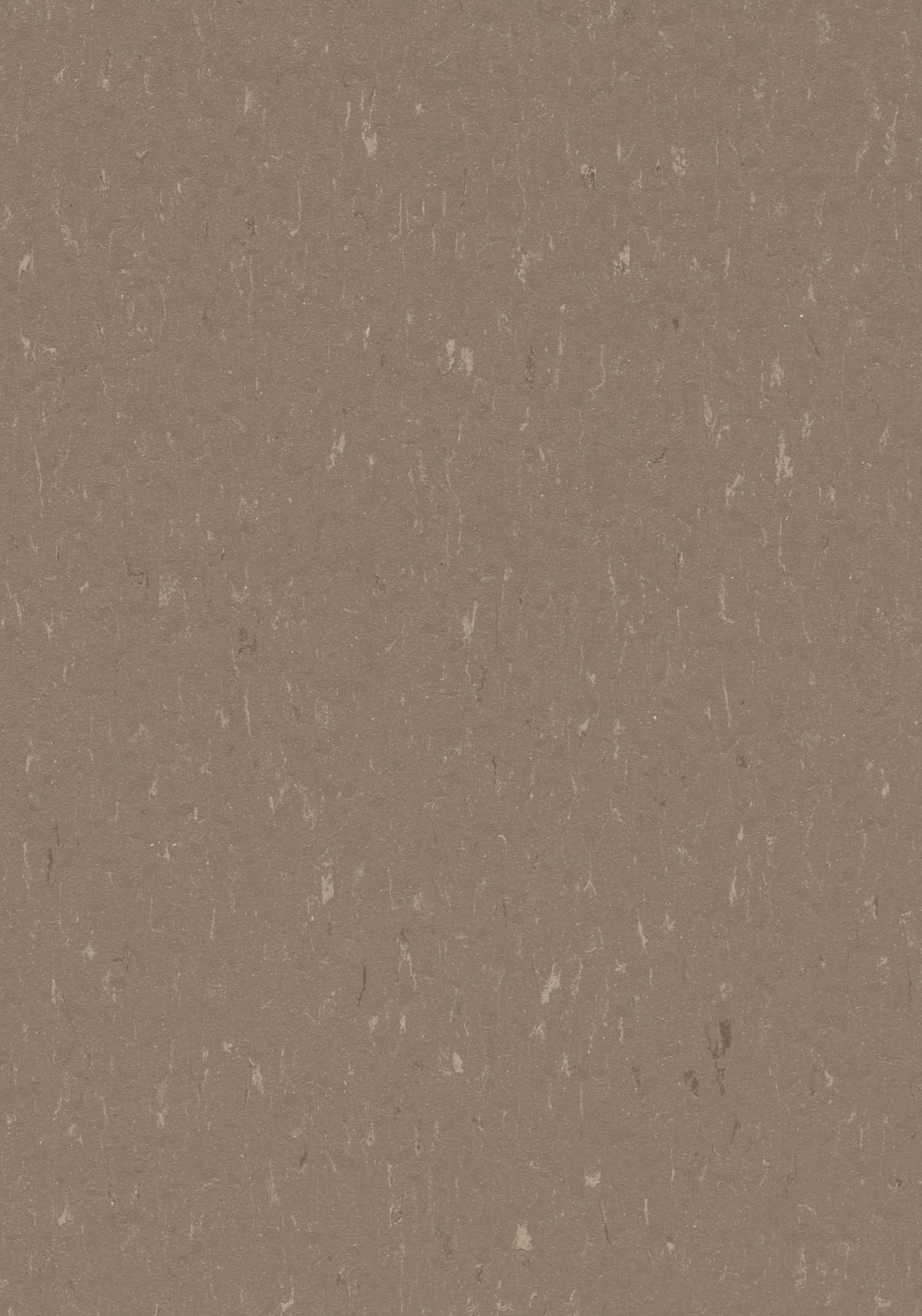 Otter Linoleum Sheet Marmoleum Solid