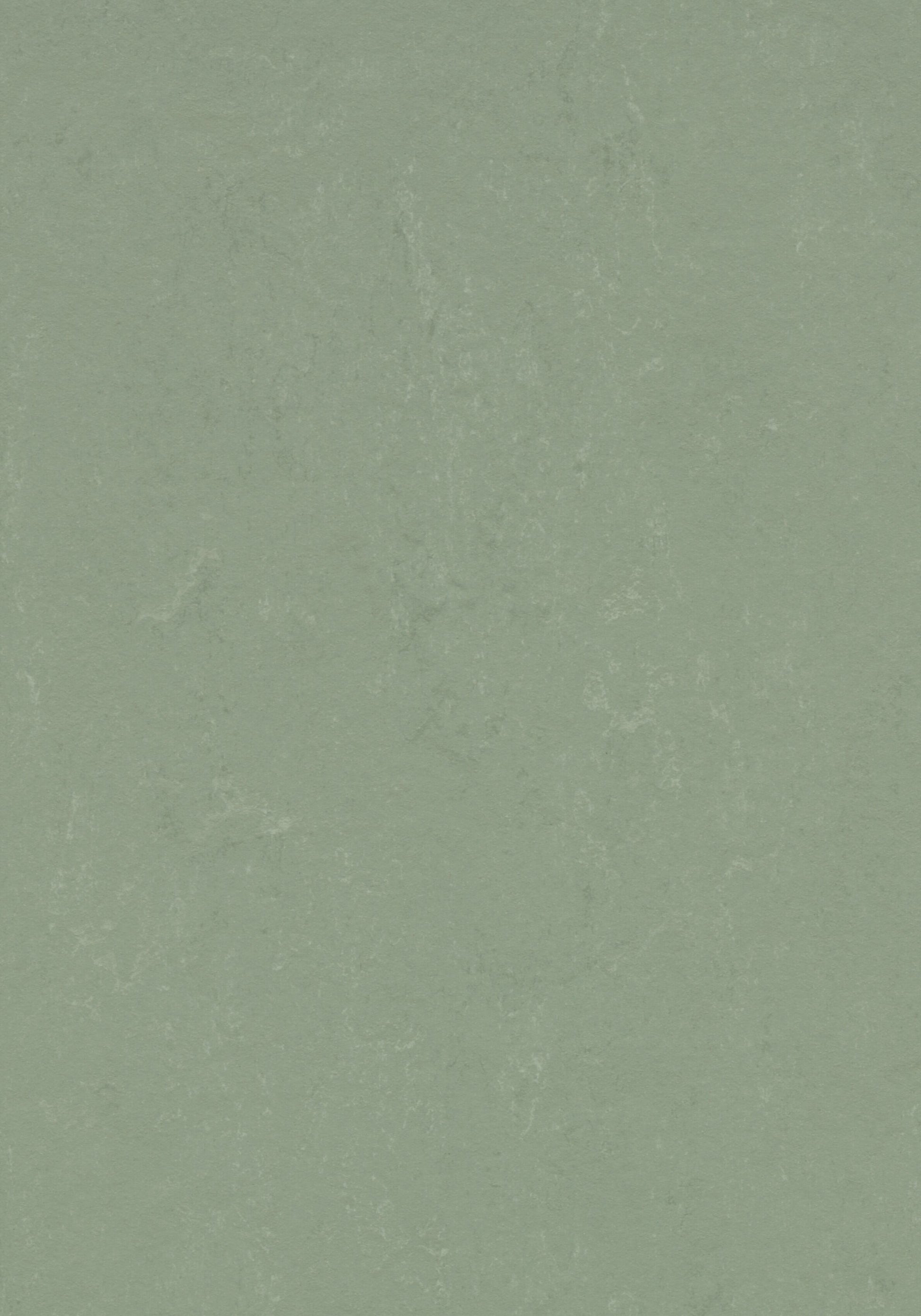 Pine Forest Linoleum Sheet Marmoleum Solid