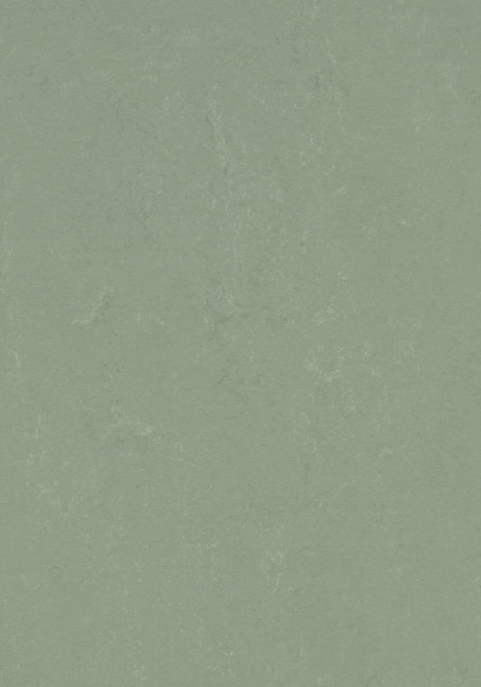 Pine Forest Linoleum Sheet Marmoleum Solid