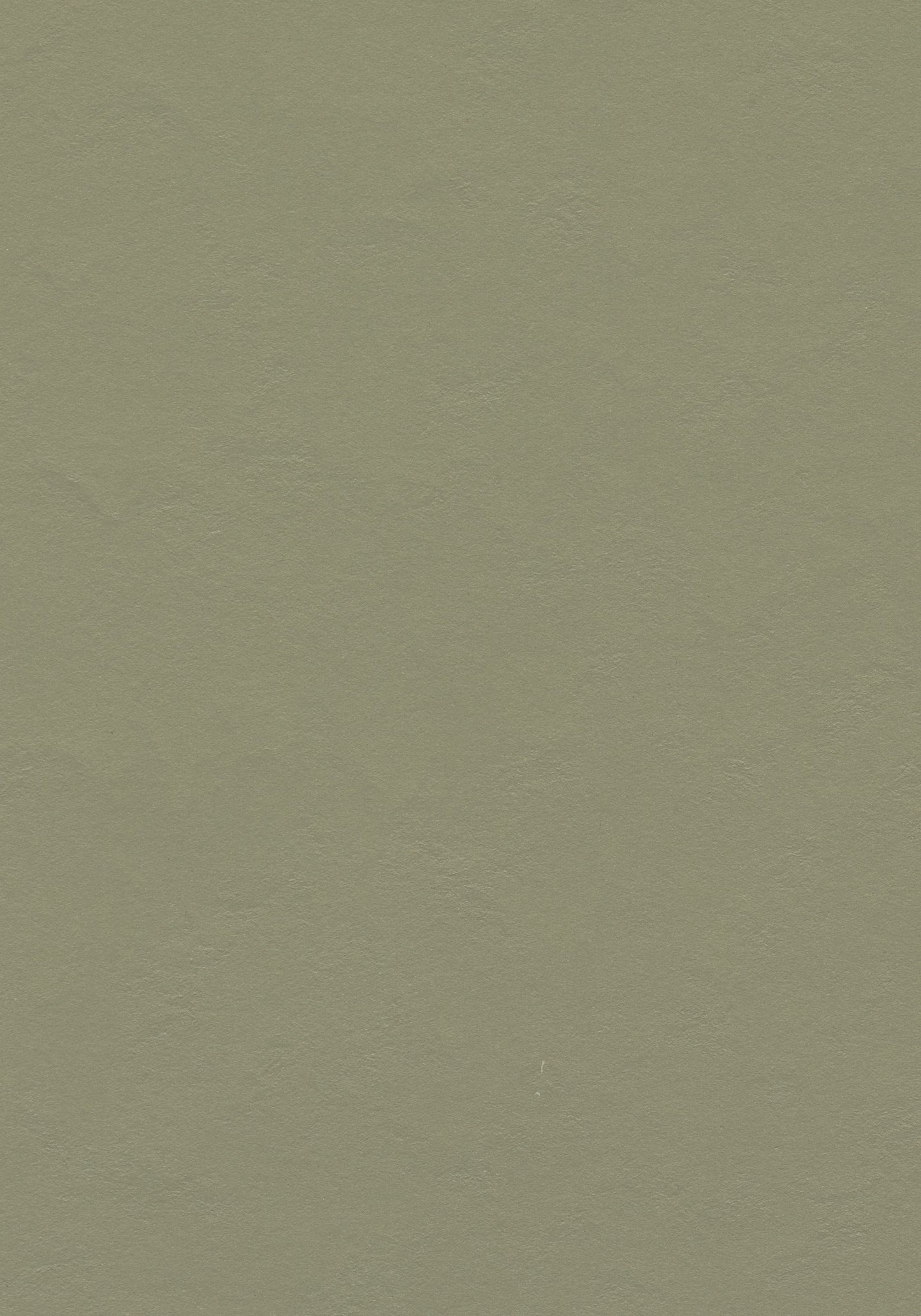 Rosemary Green Linoleum Sheet Marmoleum Solid