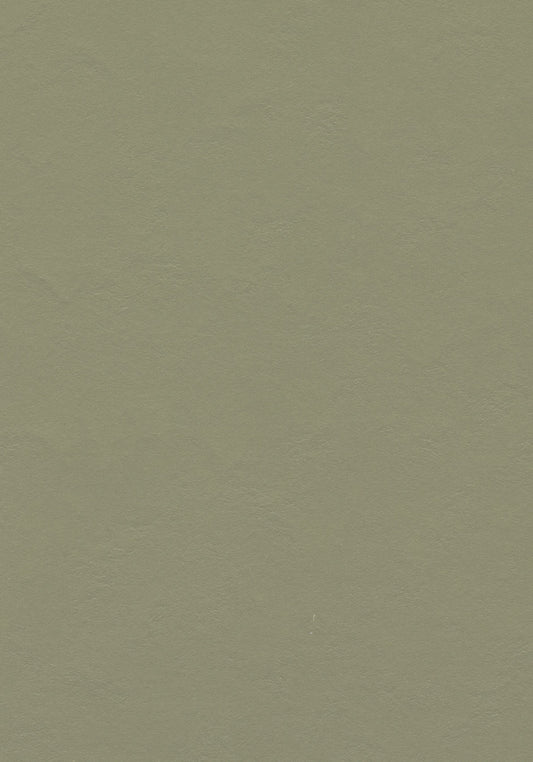 Rosemary Green Linoleum Sheet Marmoleum Solid