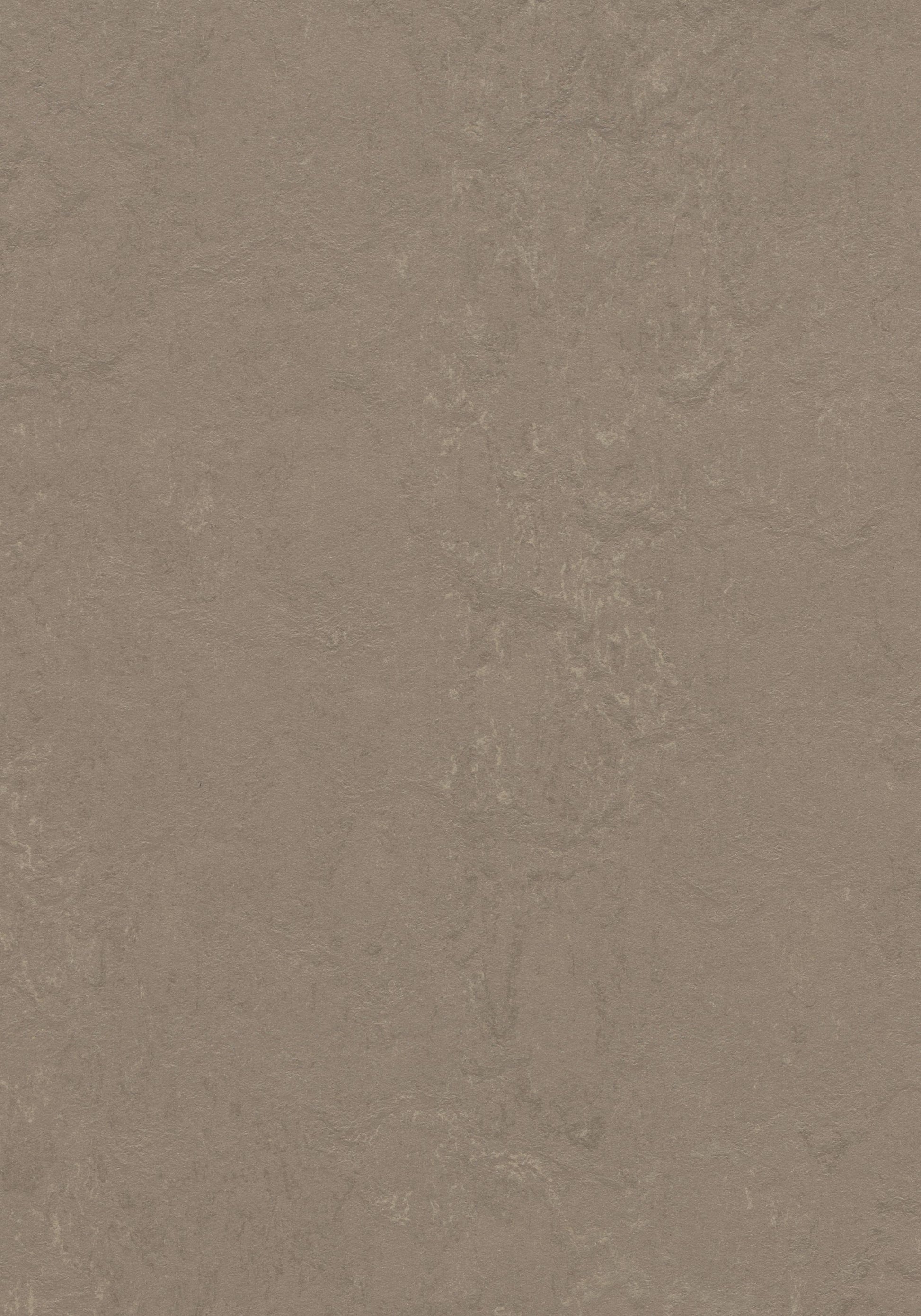 Silt Stone Linoleum Sheet Marmoleum Solid