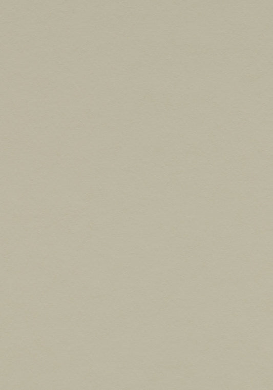 Stucco Linoleum Sheet Marmoleum Solid