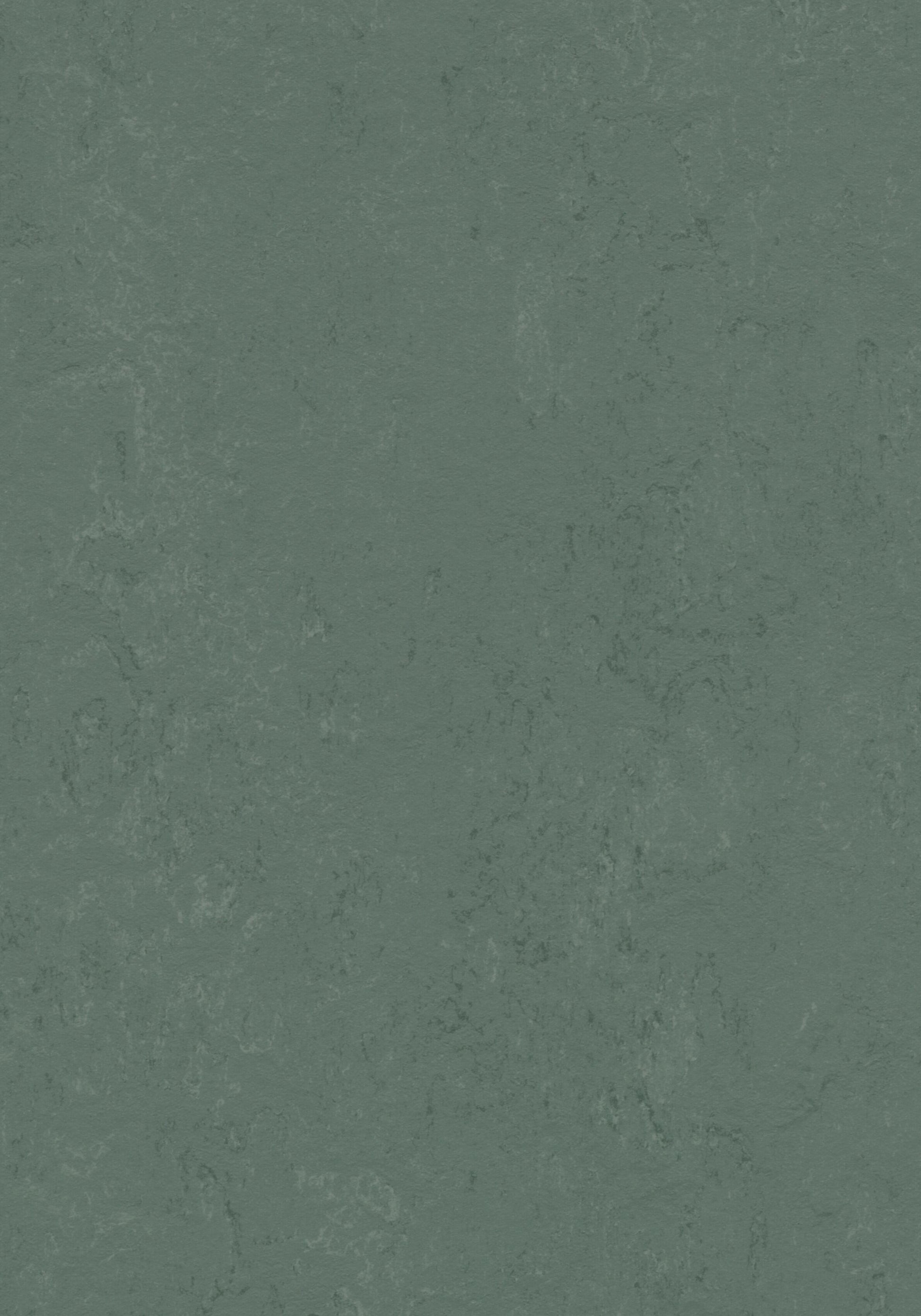 Taiga Linoleum Sheet Marmoleum Solid