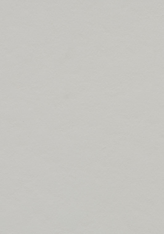 Titanium Linoleum Sheet Marmoleum Solid